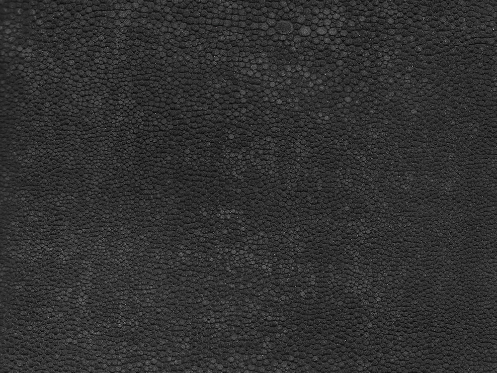 Semi Exotic - CHARCOAL SUEDED SHAGREEN