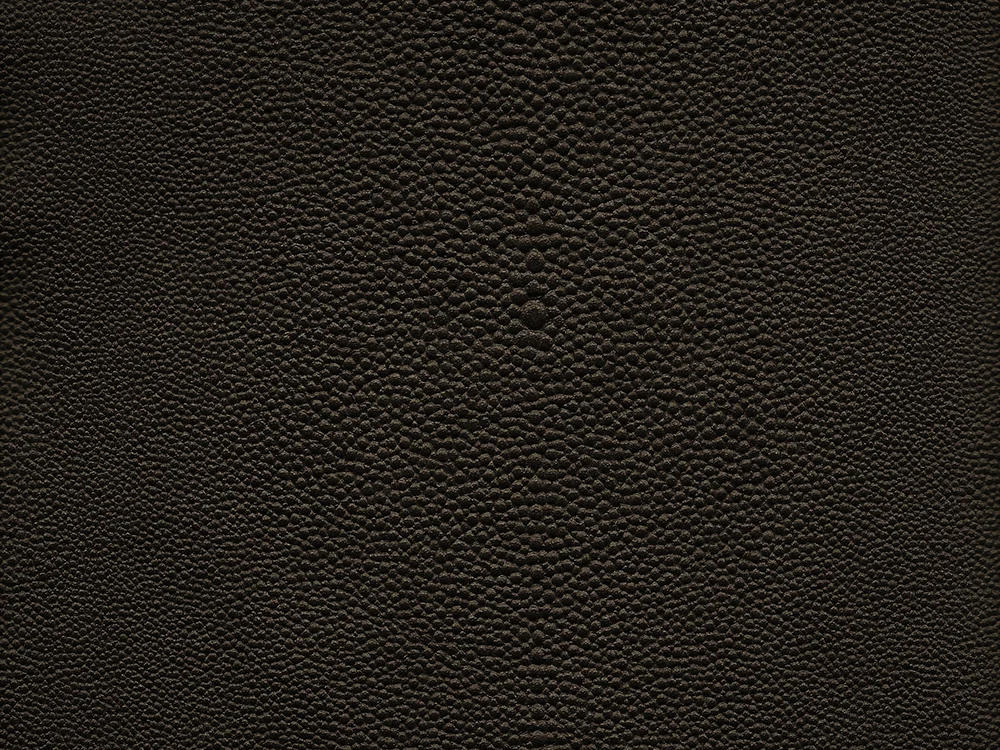 SEMI EXOTIC - SHAGREEN BRONZE