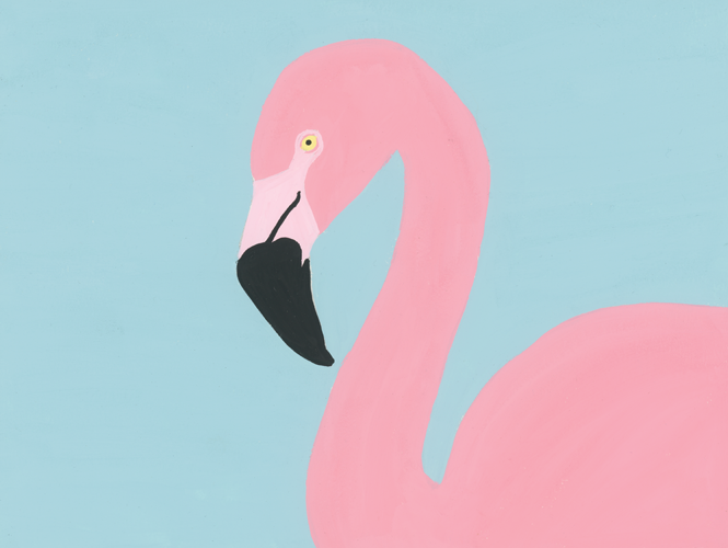 FLAMINGO 1