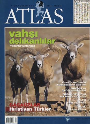 Atlas2002.jpeg