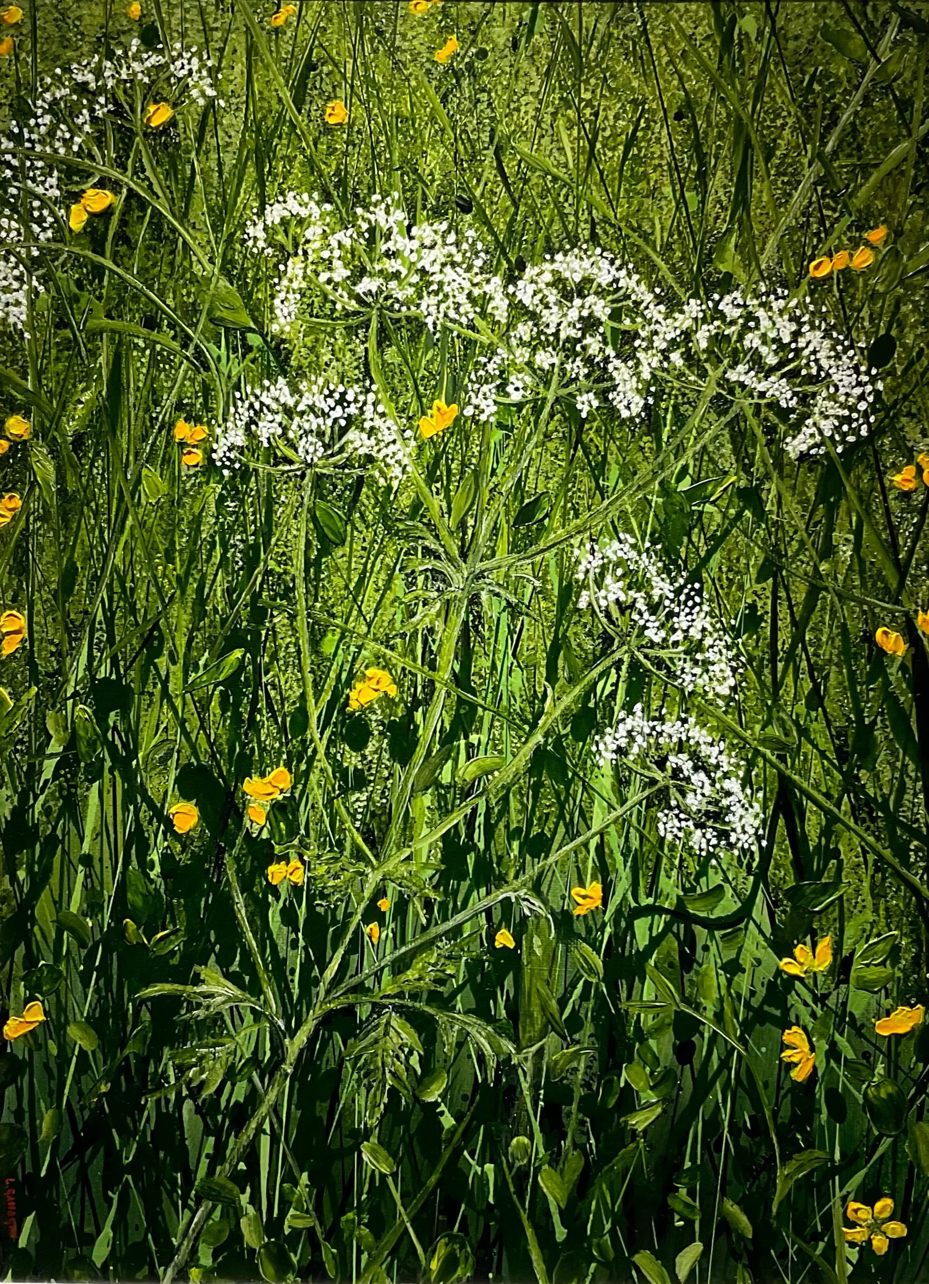 Down among the buttercups 