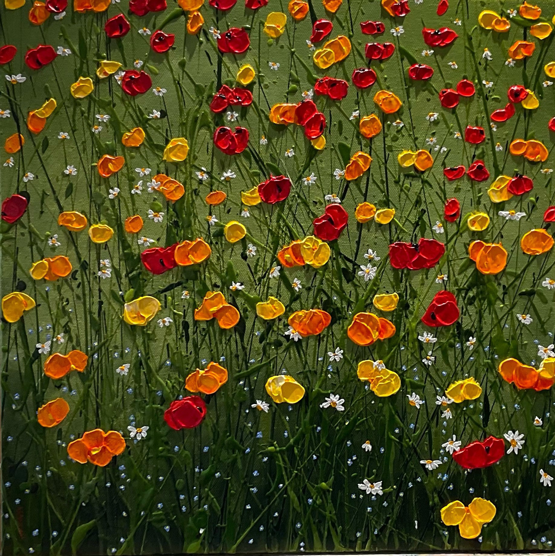 Everything is coming up Poppies