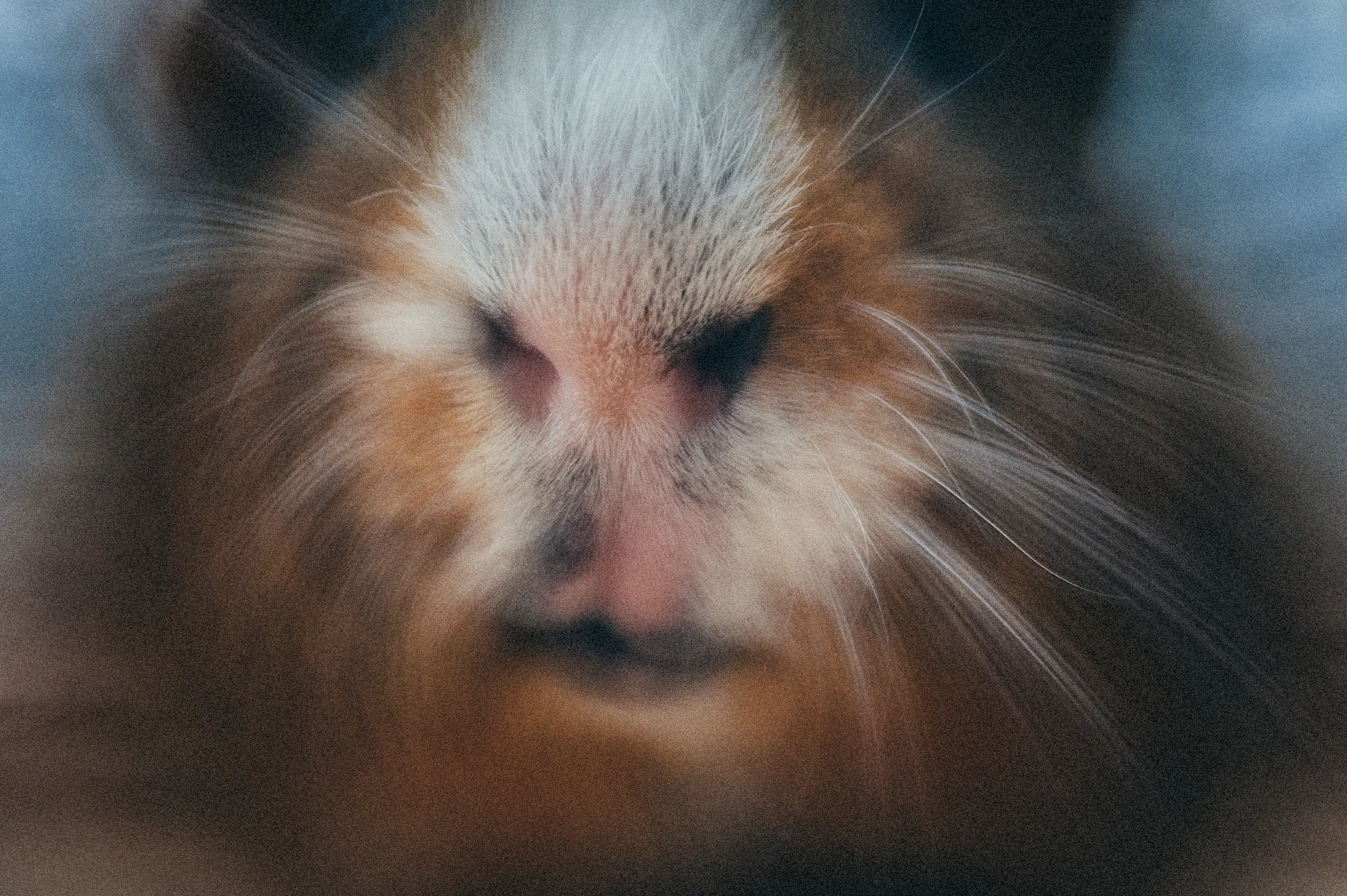 Week 3 | ISO 1250 | 1/125