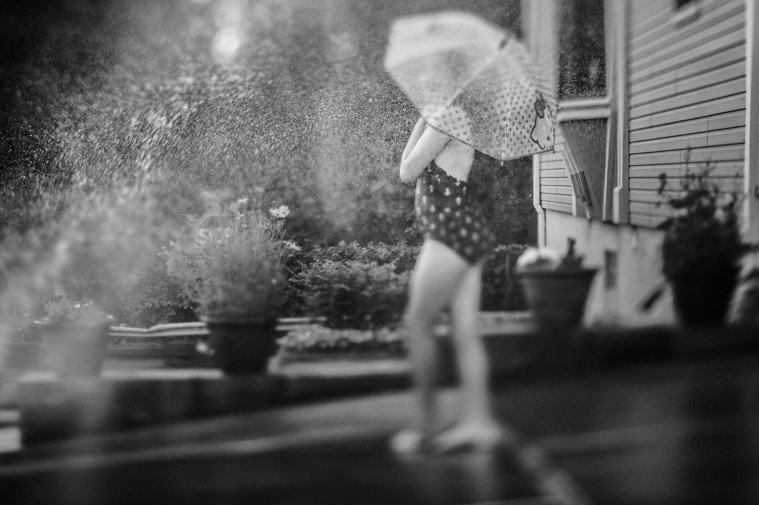 Week 26 | ISO 1250 1/1250