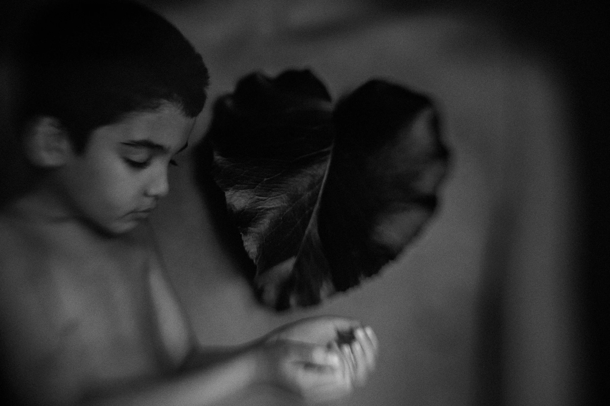 In Camera Double Exposure | Lensbaby Composer PRO II with Sweet 35