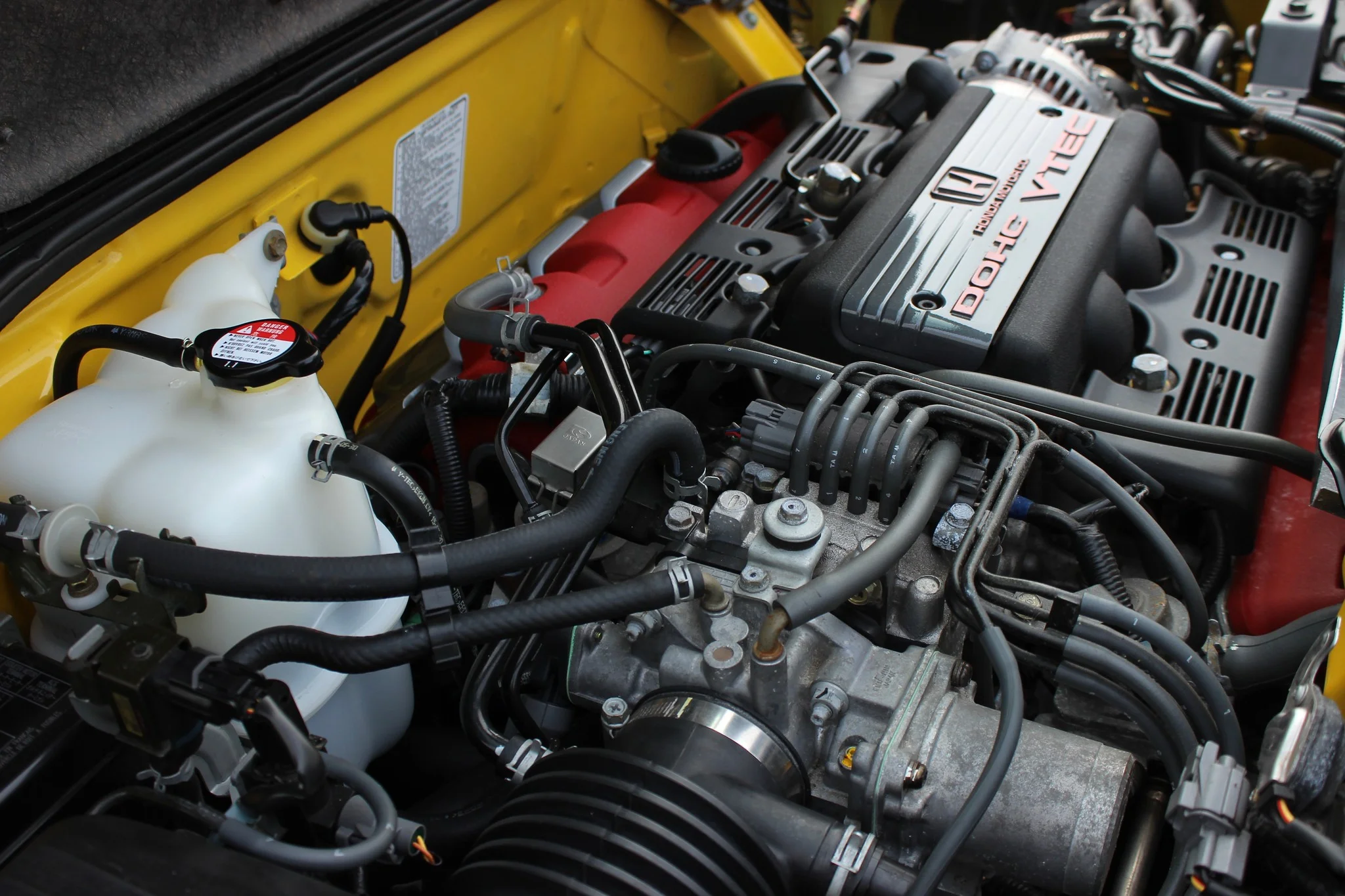 IMG_8376-X4.jpg