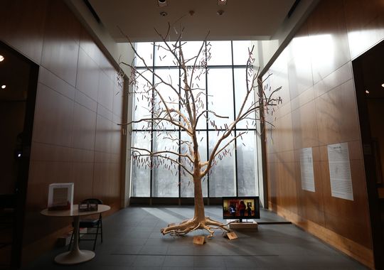 002forumtreeoflife.jpg