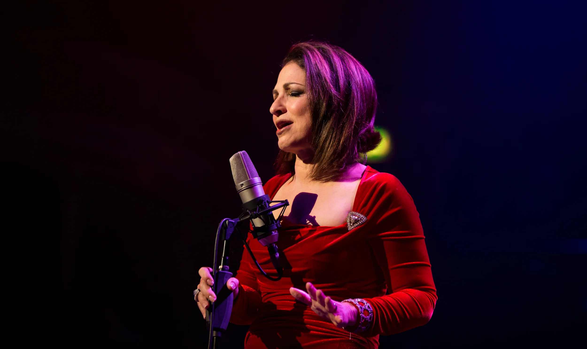 GLORIA ESTEFAN_010613_IGR16.jpg