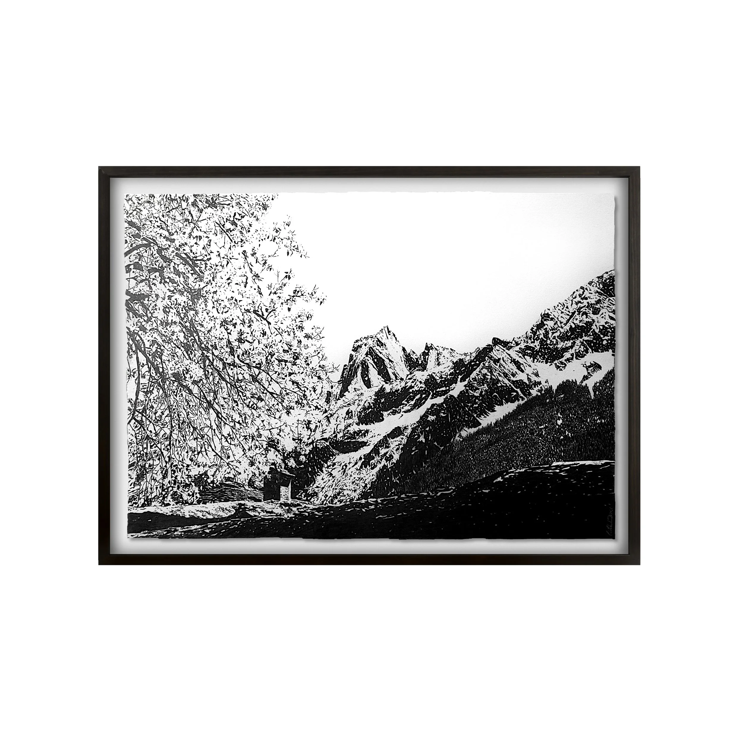 10 primavera  Piz Badile 2026.jpg