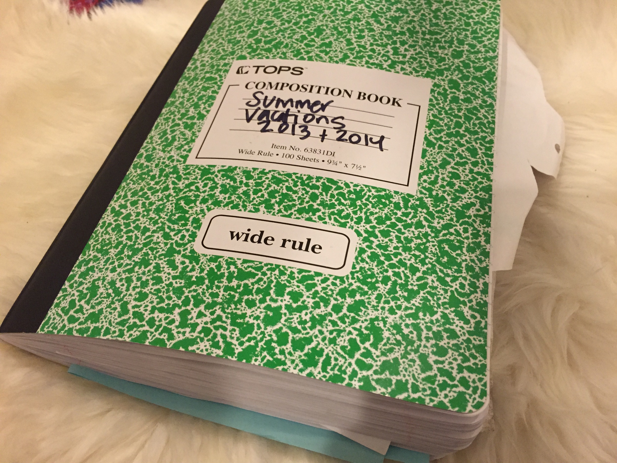 Nothing fancy. Just plain old notebook with pages to fill.