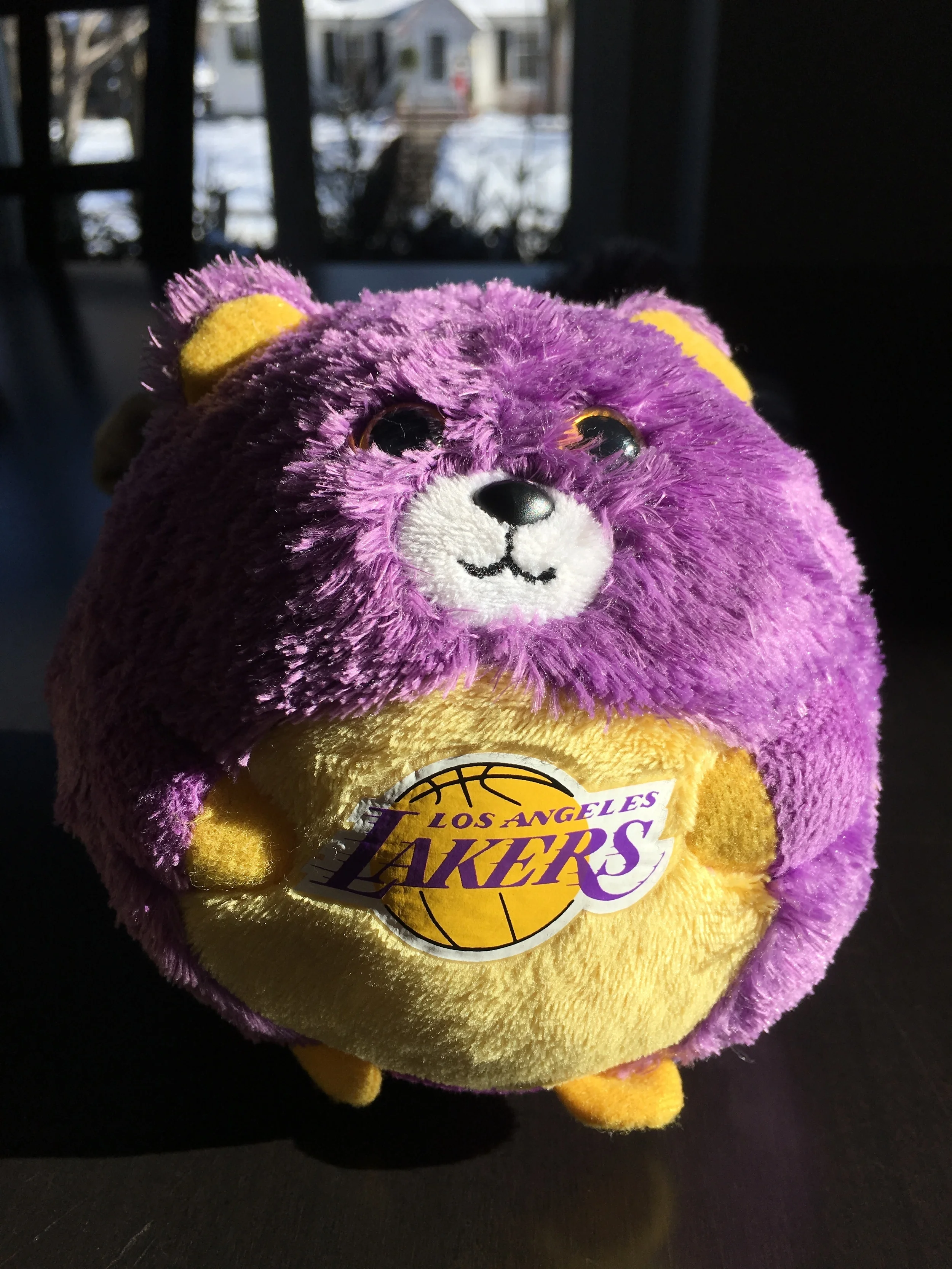 Another gift to remind us where we came from. Aw, how cute is this? My son and daughter fight over it. The color combo means twice as much to us. 