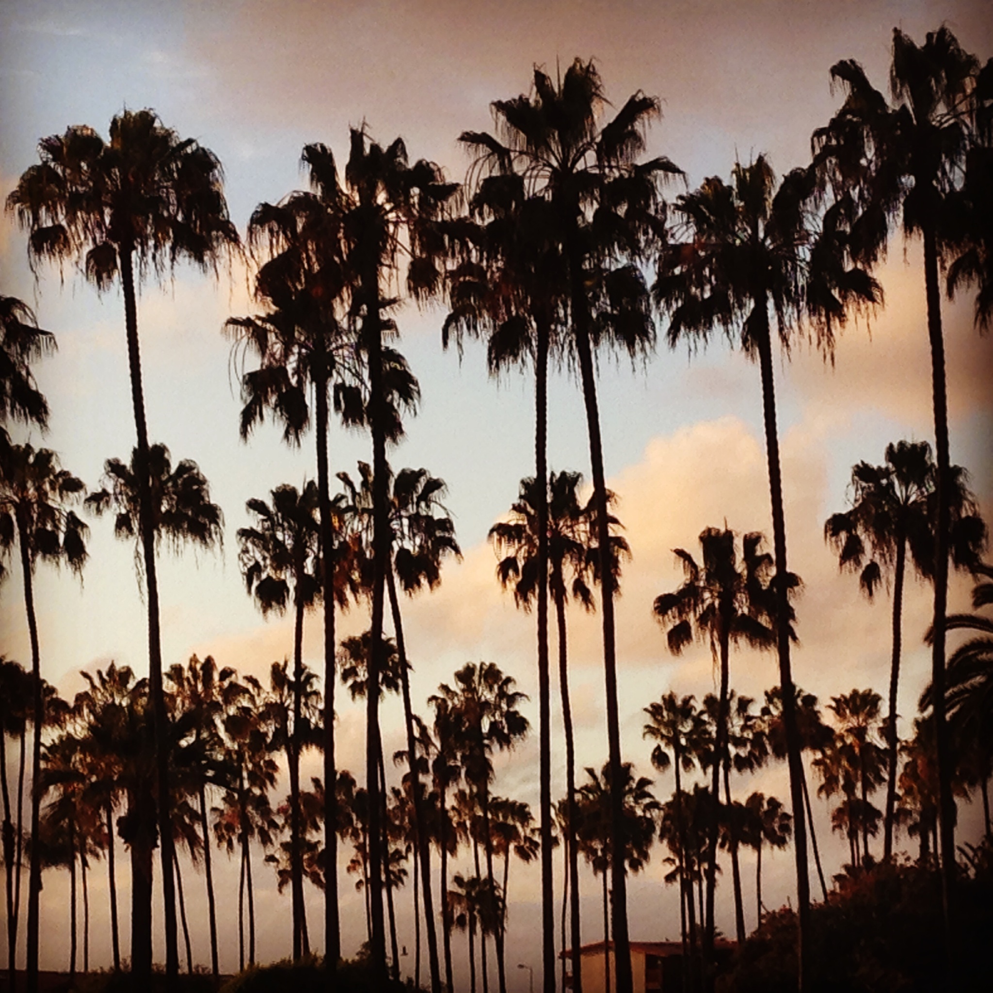 Instagram Message: Gracie Paton took this picture. I'm getting it printed on glass because it captures my summer. It's tough for me to say goodbye to summer. It's tough saying goodbye period.