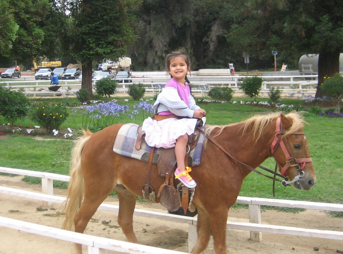 Instagram Message: The horses are on the track.