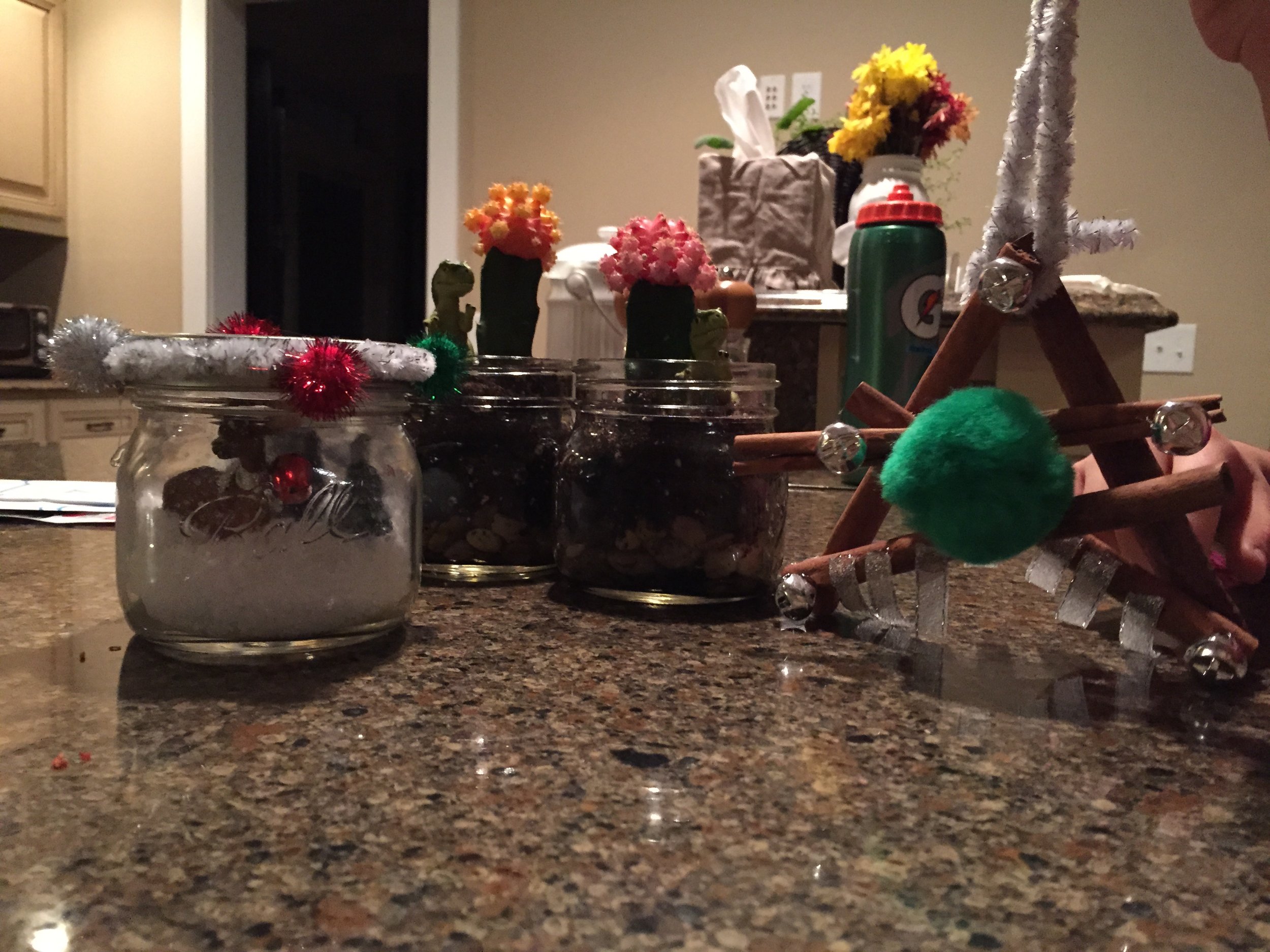 When my kids come home from a playdate at the Gartner's they bring home crafts. Ornaments, snow globes and Christmas cactus! OR she gets tickets to the U of M football games and invites my kids to come along. She'll bring the kids to free Wild hockey practices. She creates great memories for the kids. 
