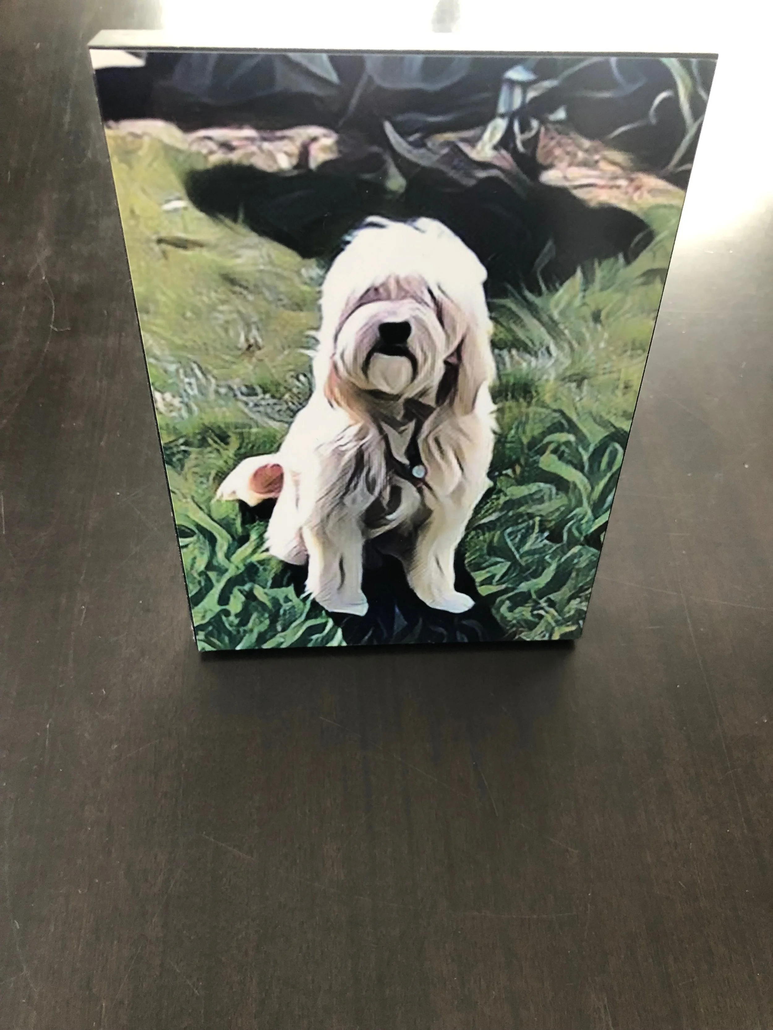 This is a 5x7 inch picture. The artist took an image that Hailey provided, enhanced it with a super cool technique and printed it on a piece of black wood. It could be hung up or place a piece of wood that is provided behind it to use as a stand.