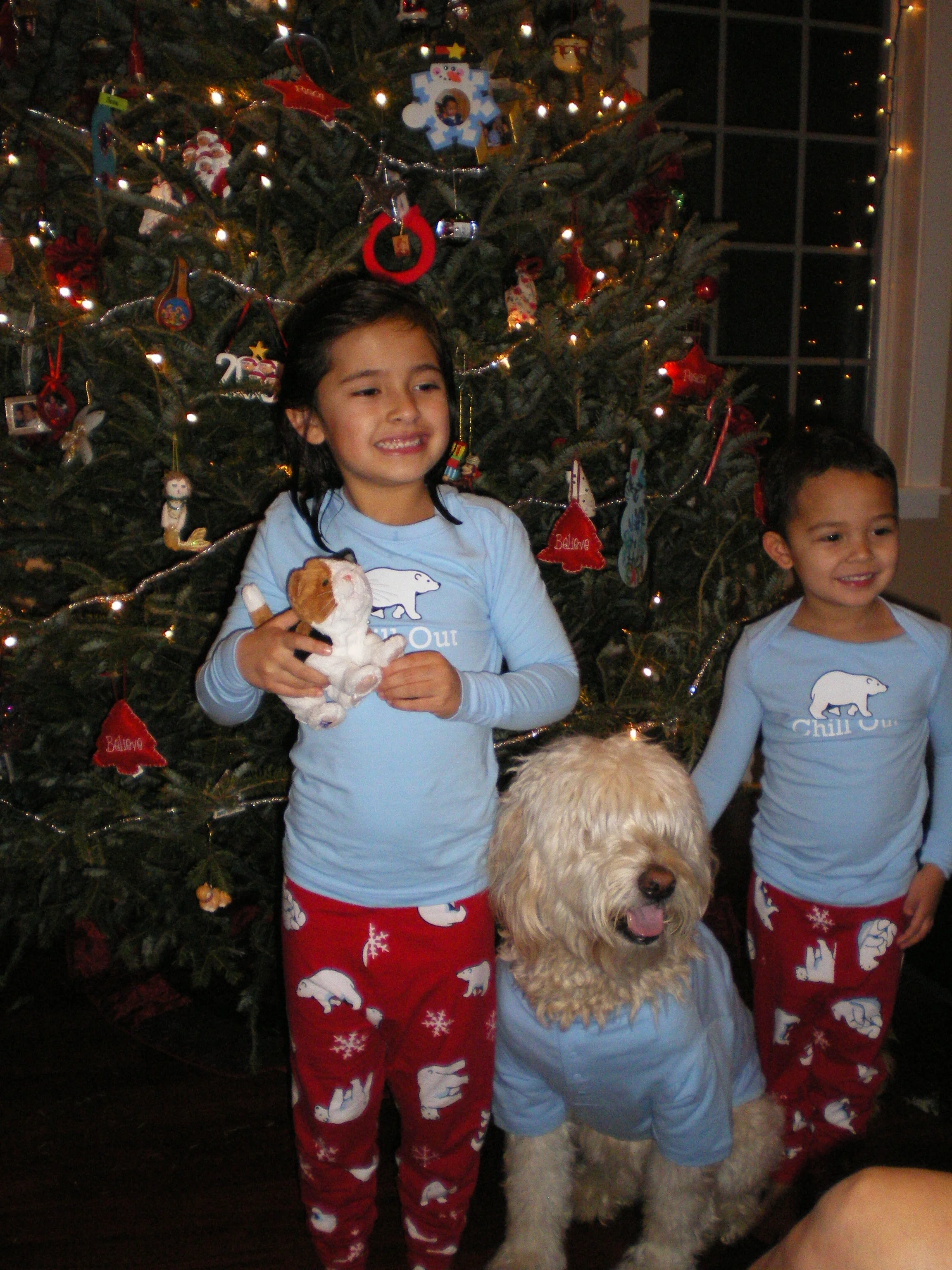 National Dress Up Your Pet Day