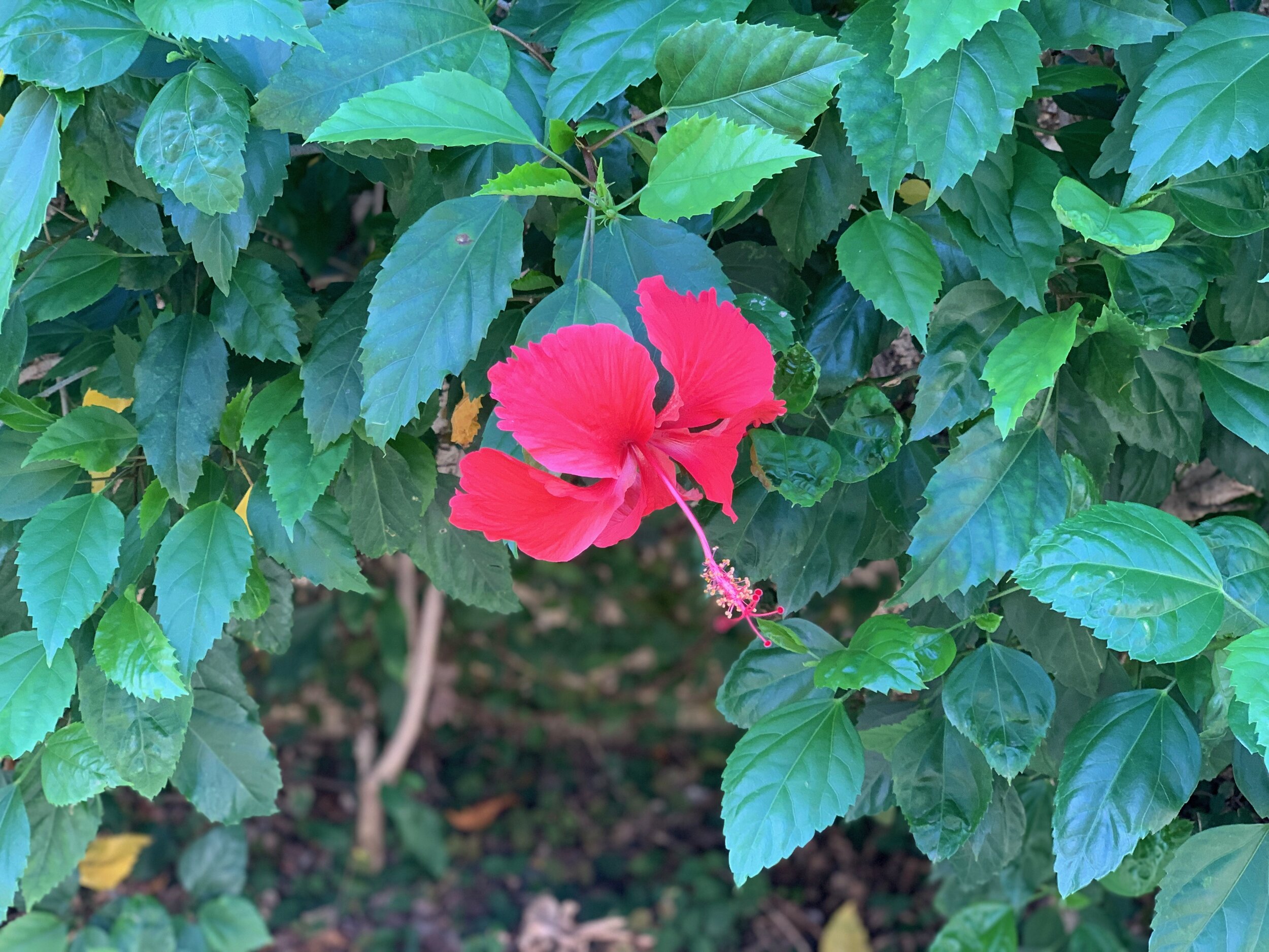 Timing is {Not} Everything