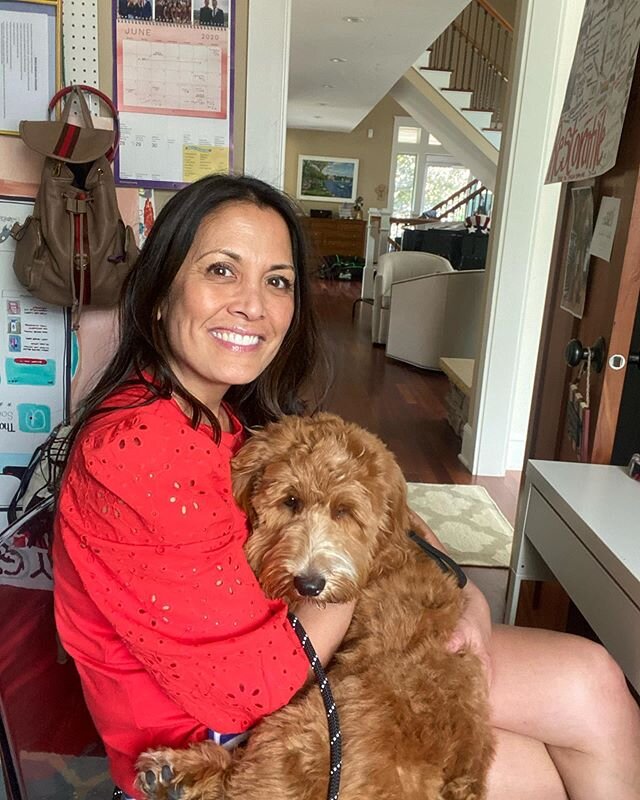 If it were up to my hub we would&rsquo;ve gotten a dog the day after Bruin died. But I couldn&rsquo;t. I wasn&rsquo;t ready. Today my heart opened up and let this guy in. Welcome to the Paton&rsquo;s, Grady!  #goldendoodle #pandemicpuppy #mansbestfri