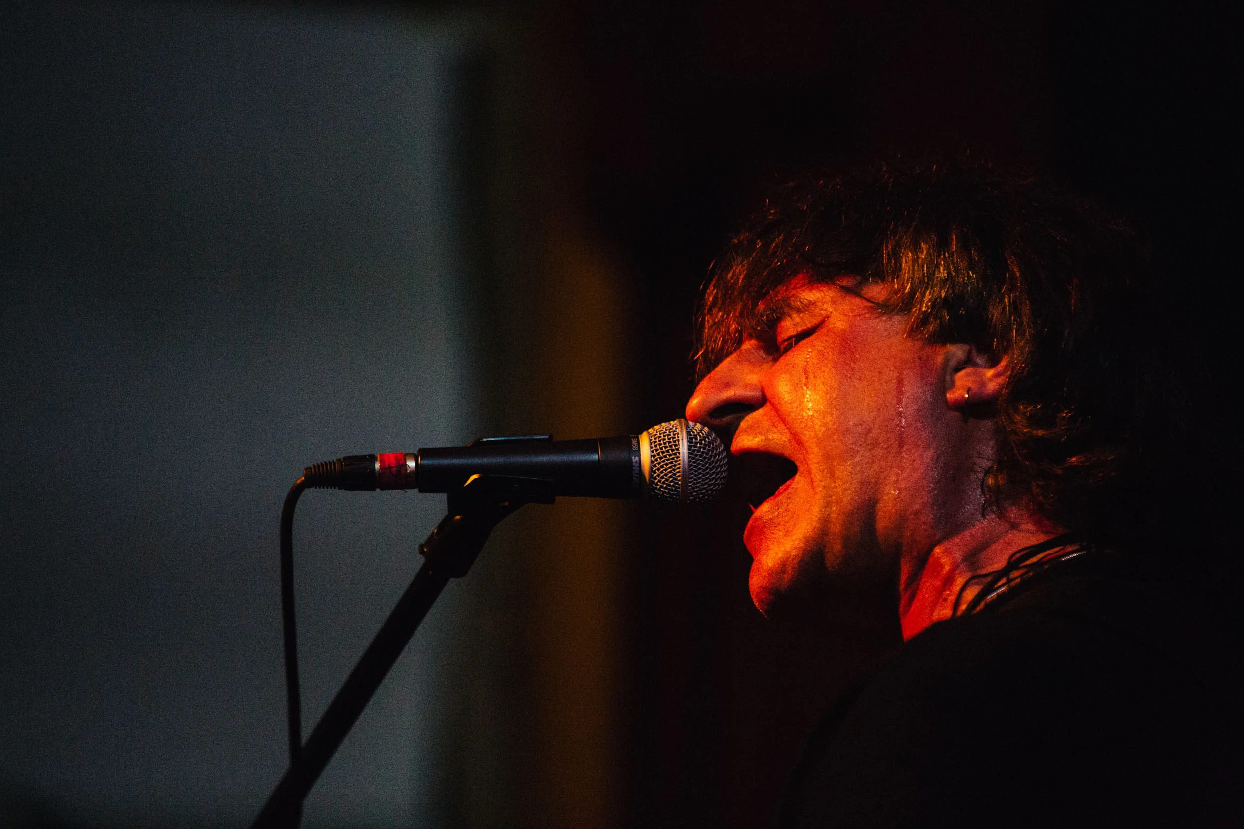 Chameleons Vox: We Are All Chameleons Farewell Tour