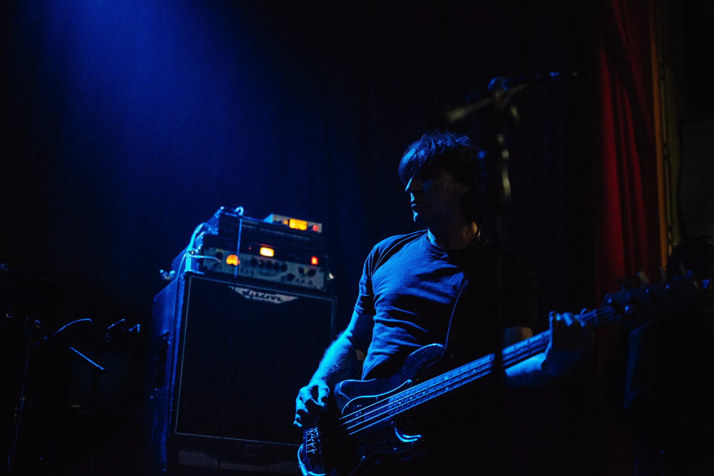 Chameleons Vox