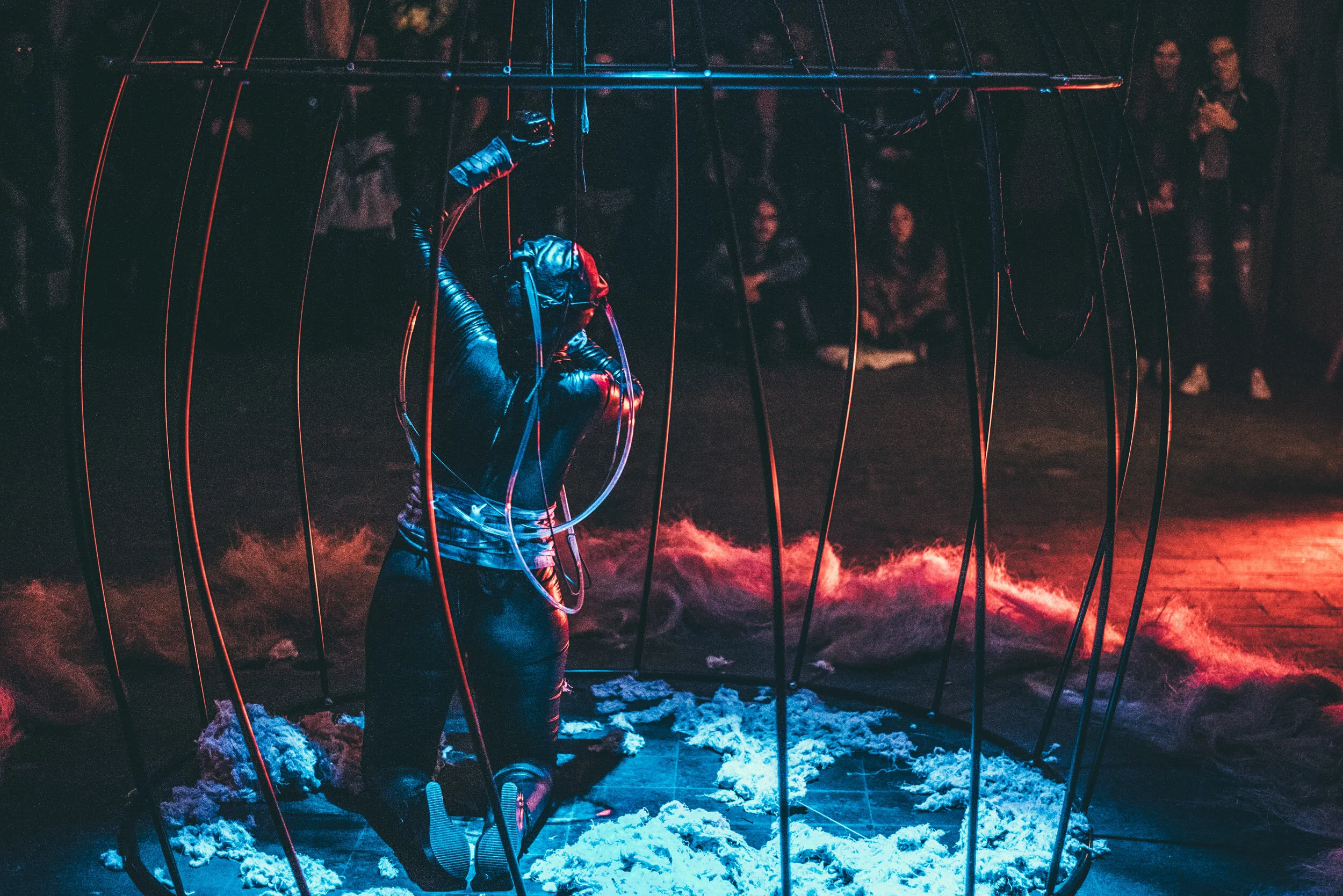 Caldas Late Night 20, Nest Ruine