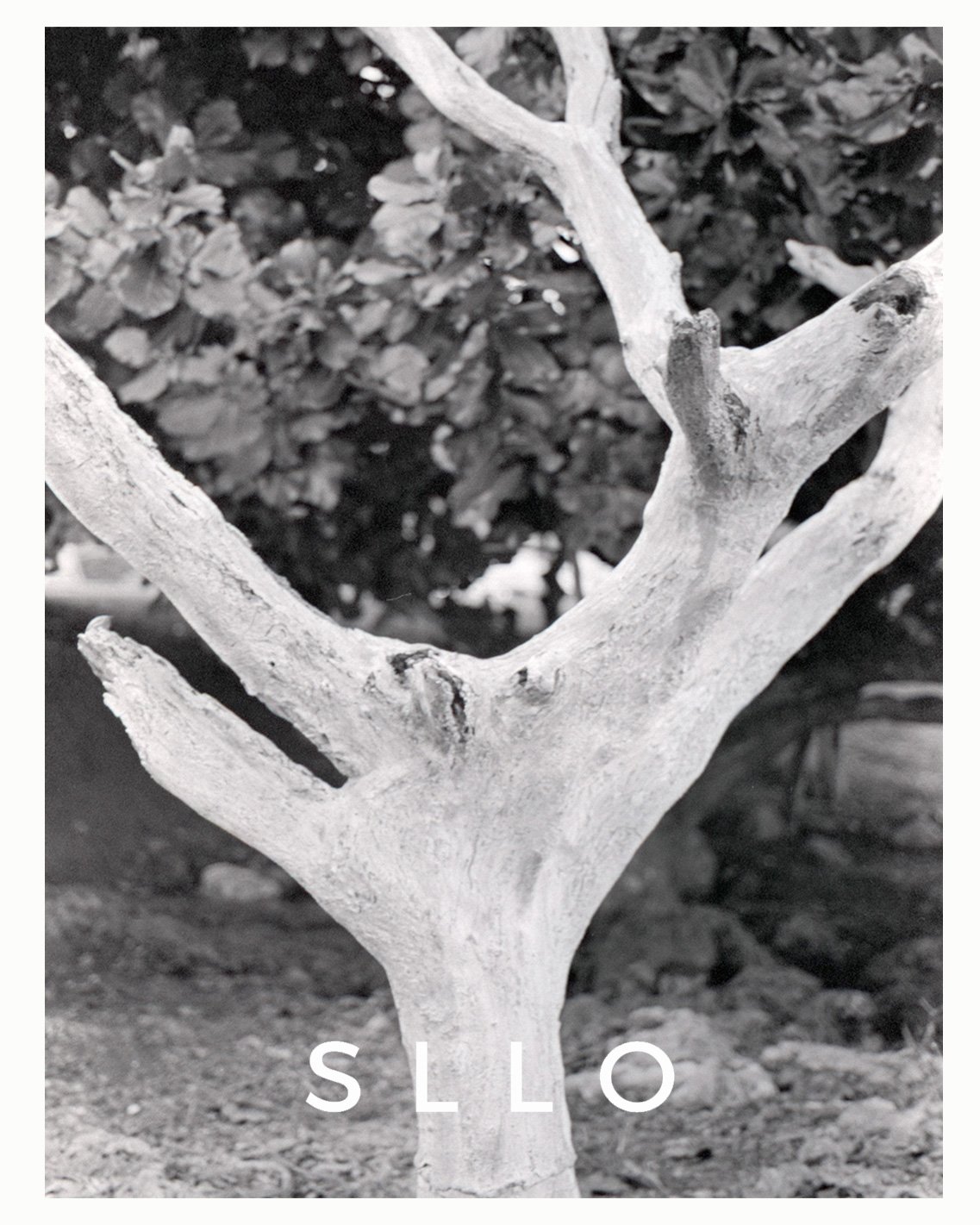 SLLO2.jpg