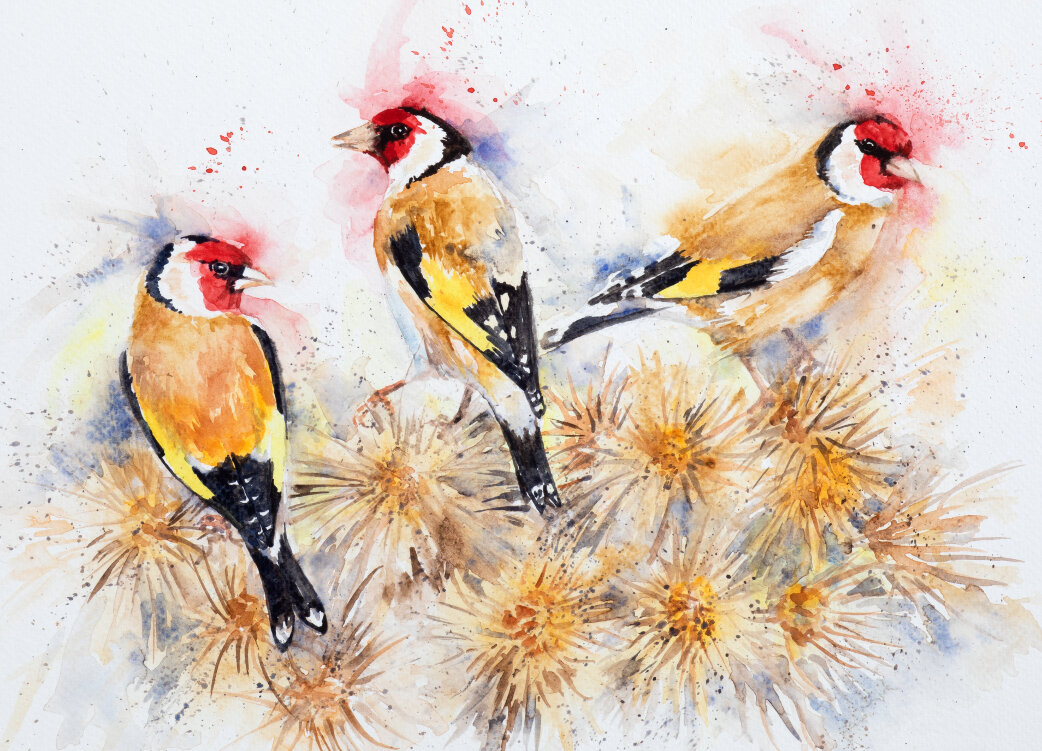 goldfinches.jpeg