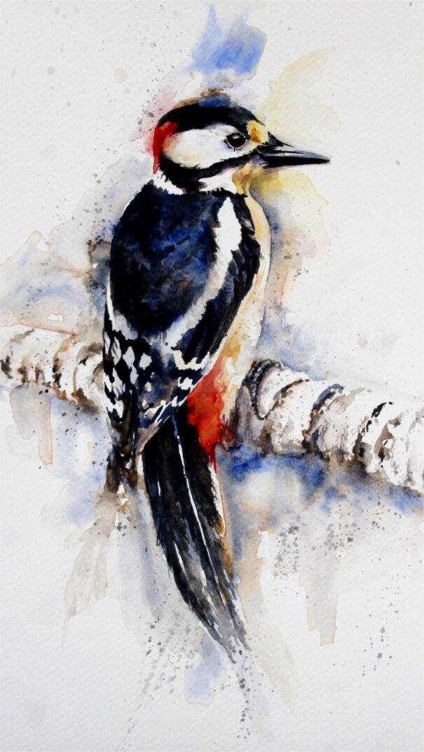 woodpecker.JPG