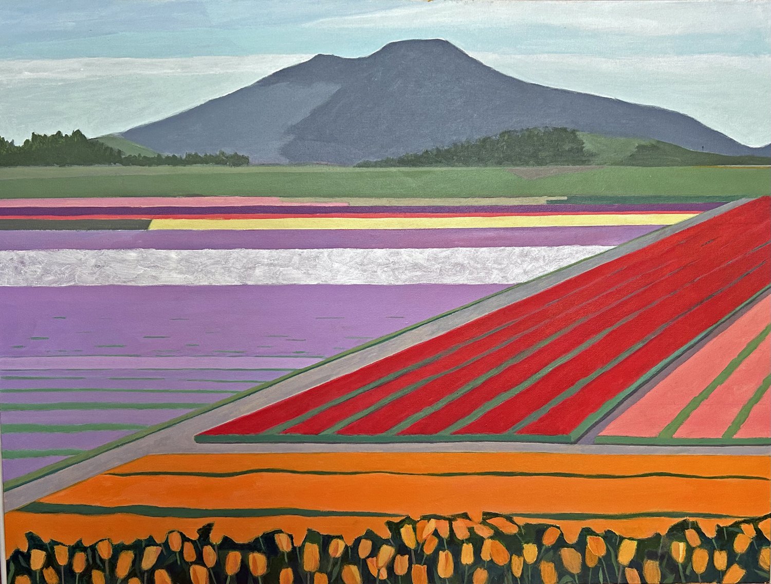 The Tulip Fields Acrylic on canvas 30" x 40" NFS 