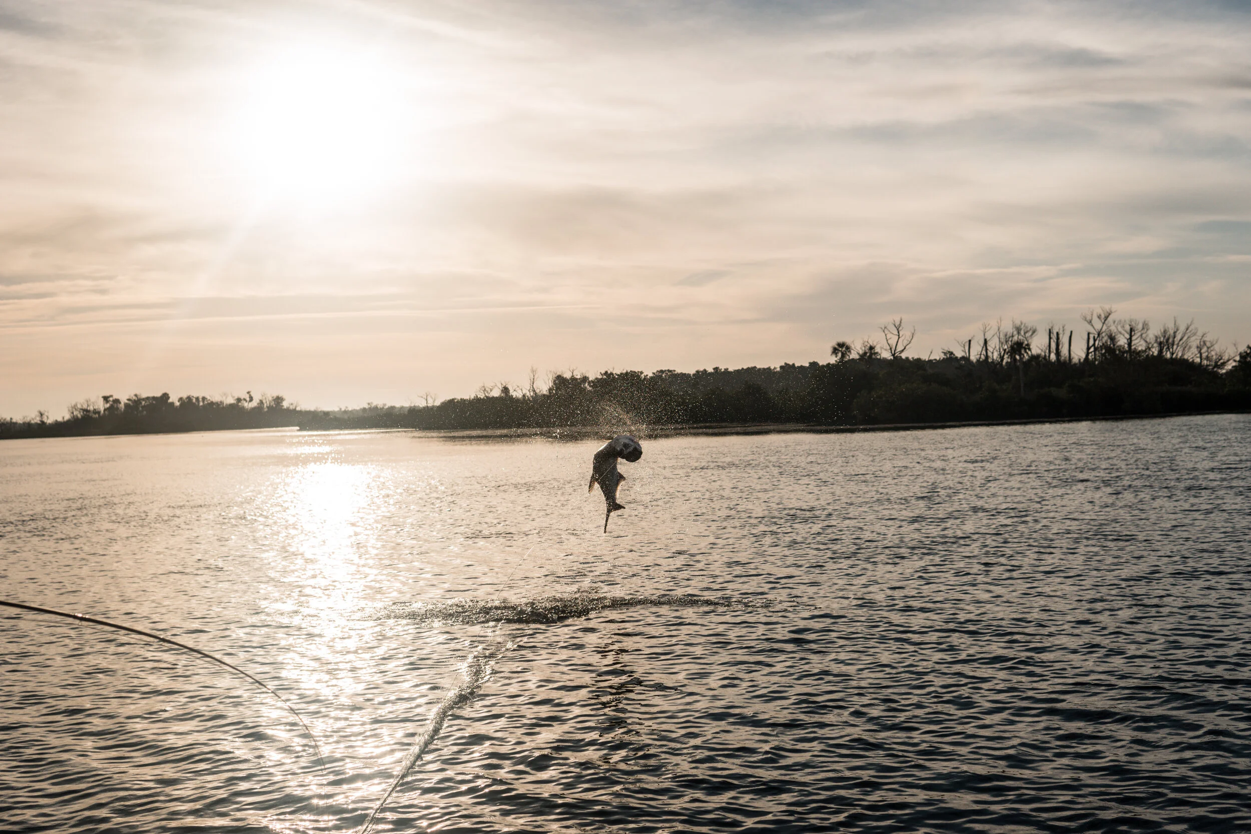DSC00022.jpg