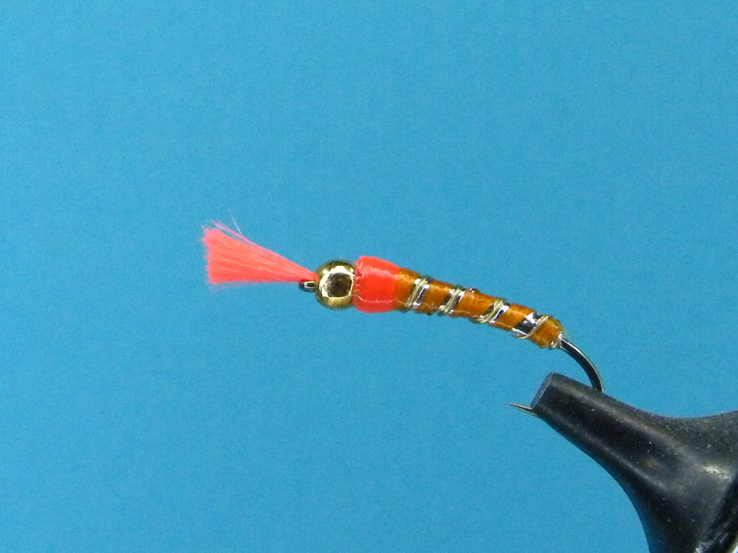 PAT'S CHIRONOMID.JPG