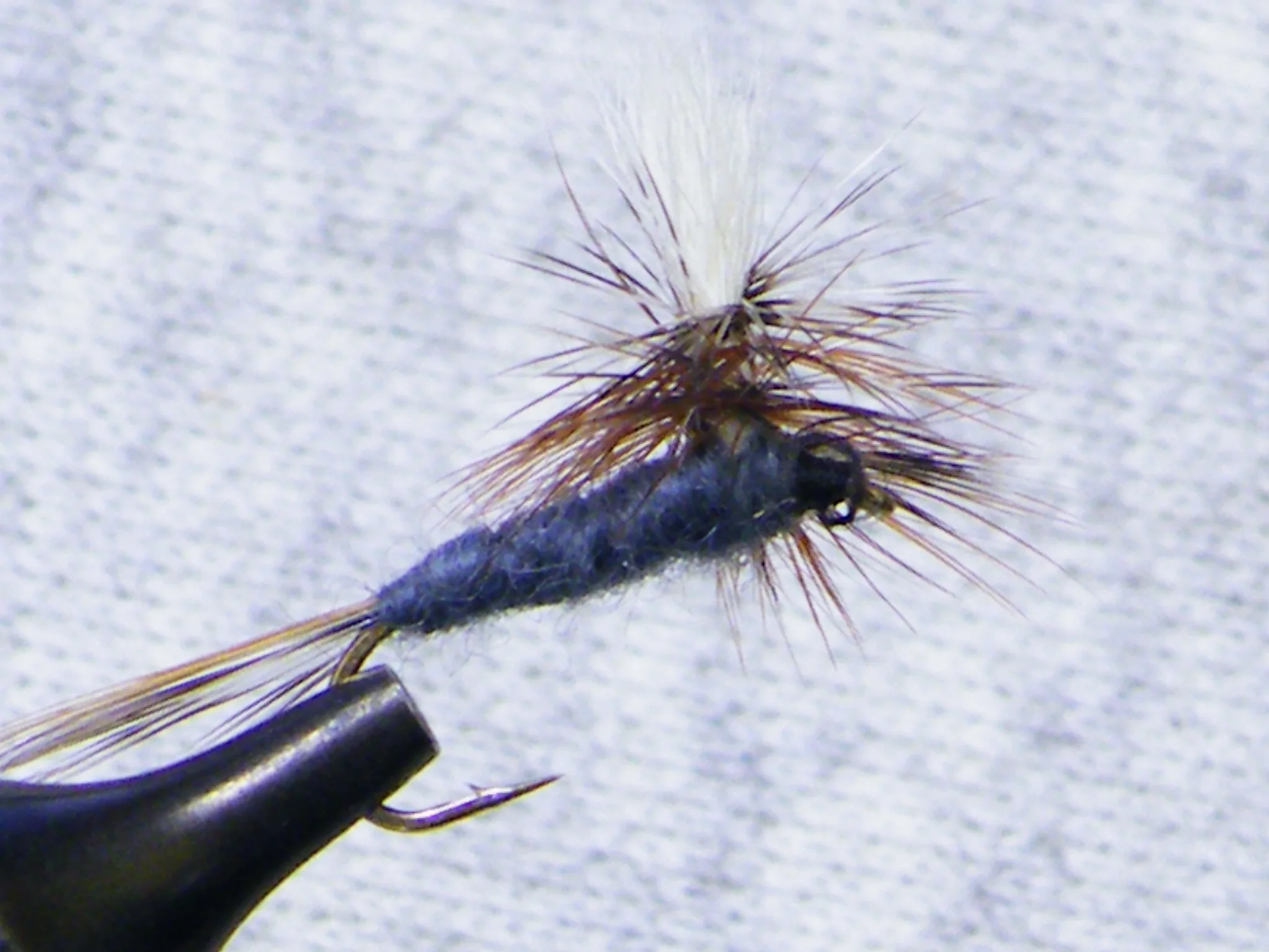 ADAMSPARACHUTE 4918.JPG