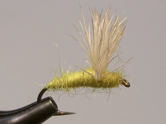 CDC_Olive_Caddis.JPG