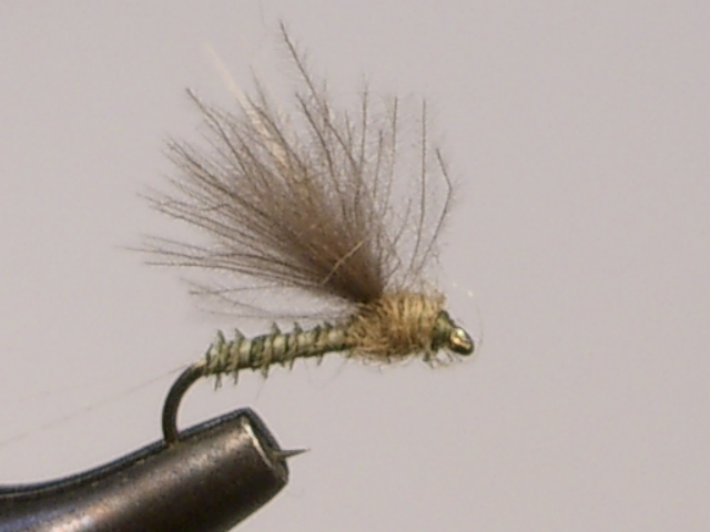 CDCBiot_Comparadun_Blue_Wing_Olive.JPG