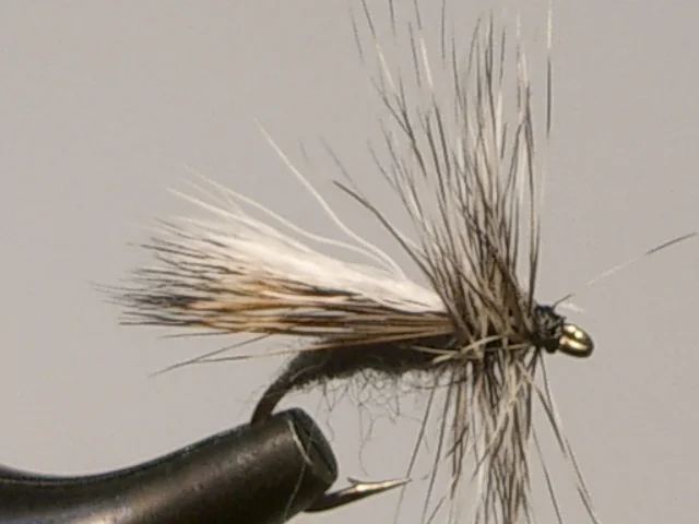 Dark_Caddis_Variant.JPG