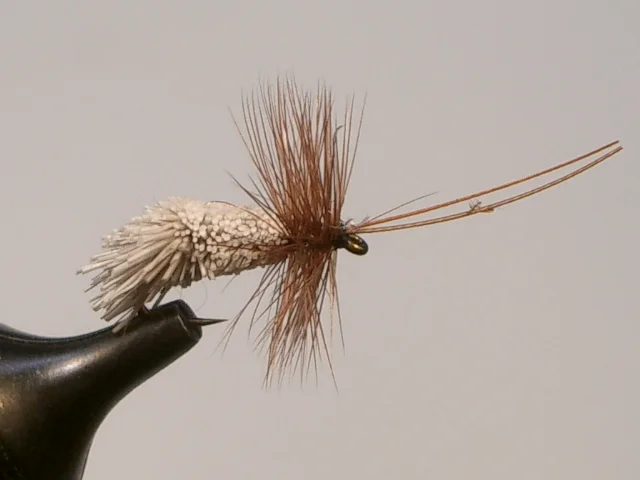 Goddard's_Caddis.JPG