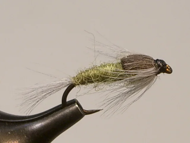 Blue_Wing_Olive_Nymph.JPG