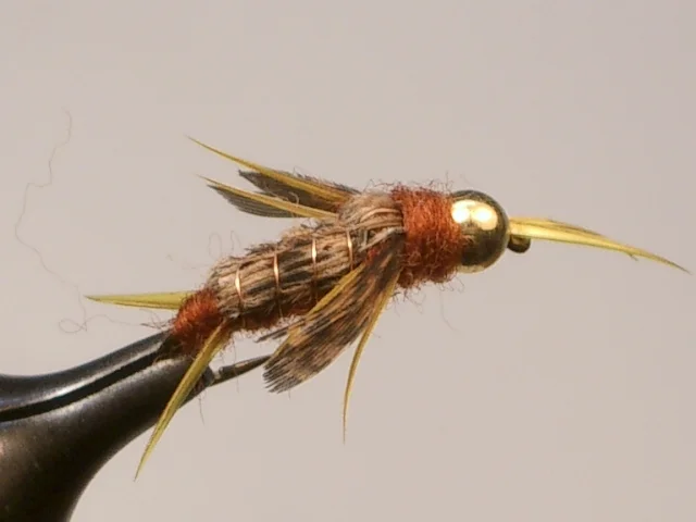 Brn_Stonefly_Nymph_BH.JPG