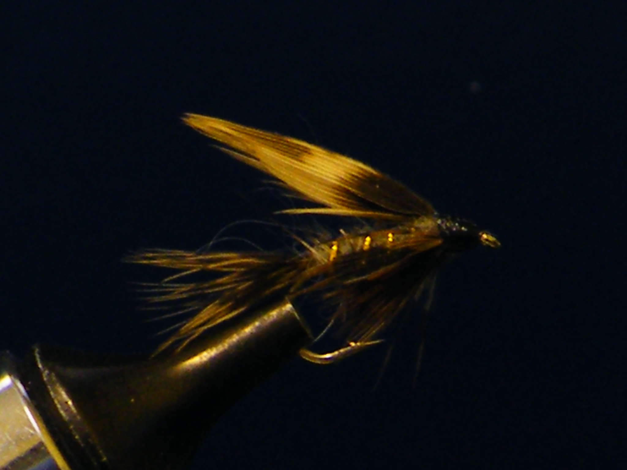 MARCH BROWN WET