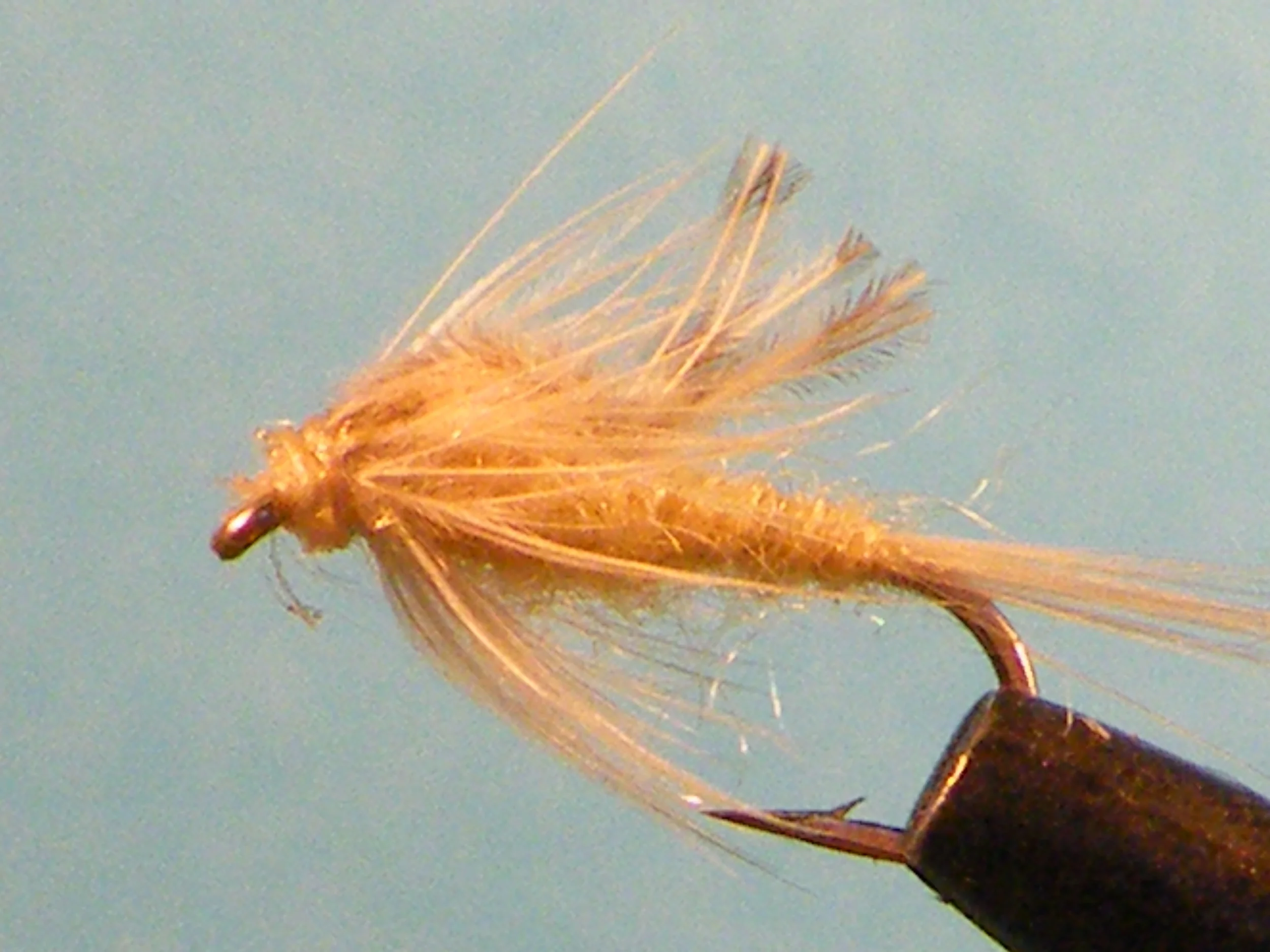 LIGHT CAHILL NYMPH.JPG