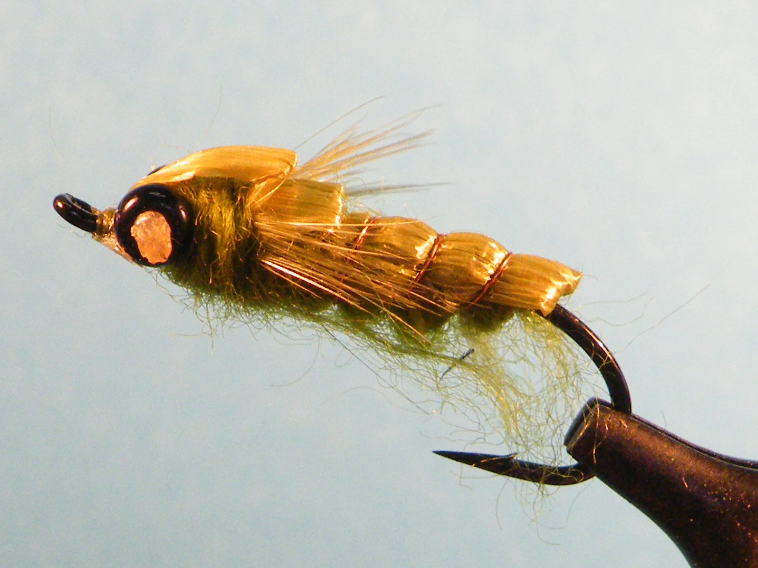 WHITLOCK'S OLIVE DRAGONFLY NYMPH.JPG