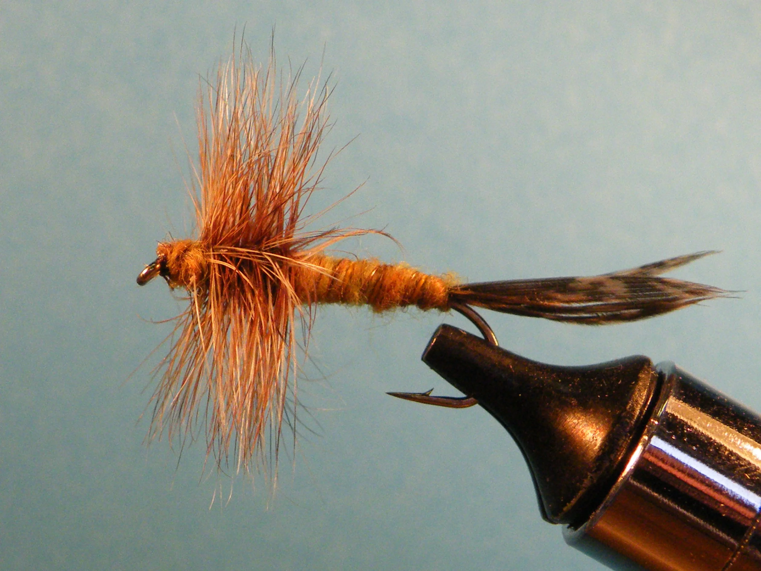 TAN STONEFLY.JPG