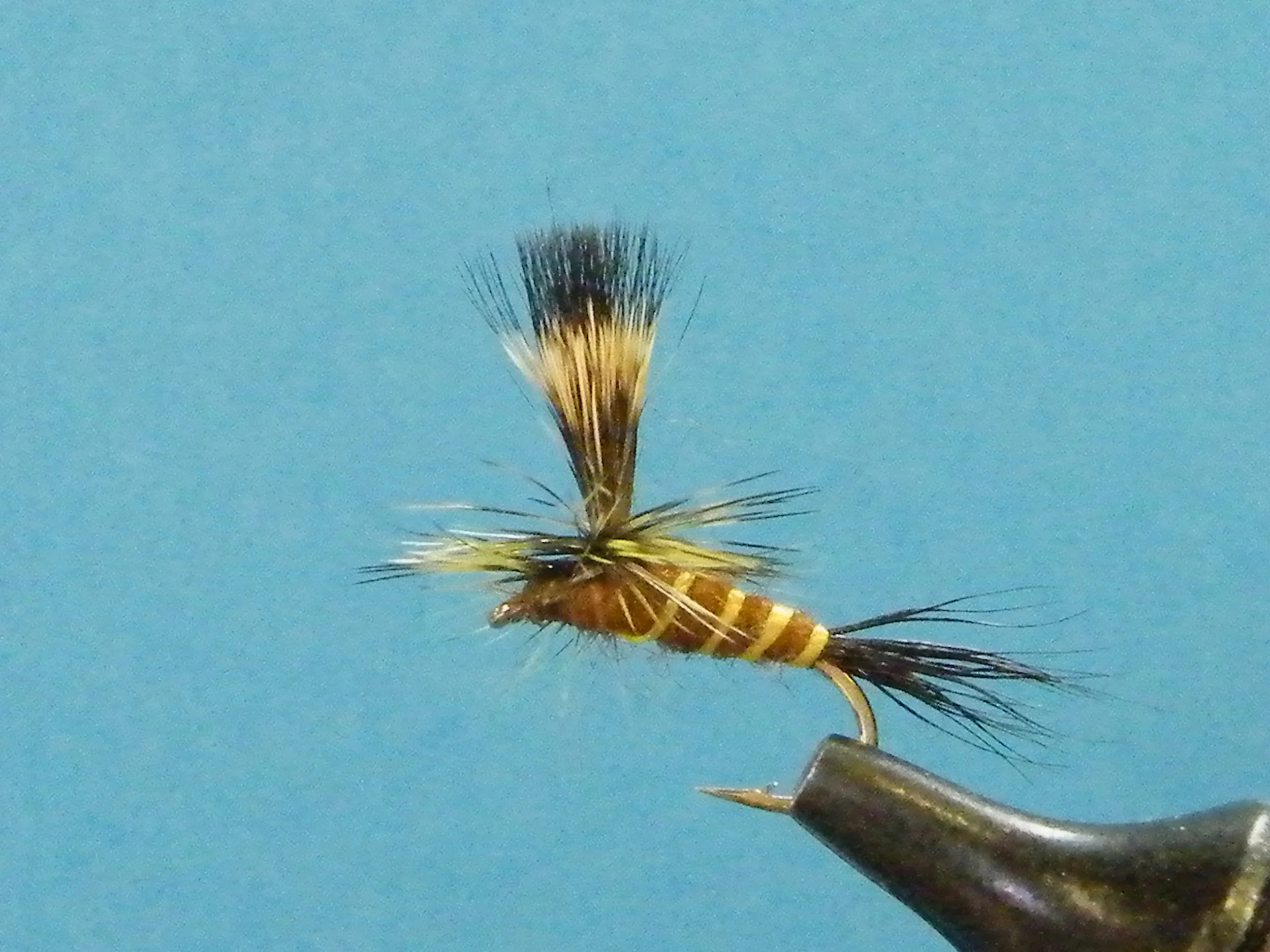 LAWSON'S BROWN DRAKE PARACHUTE.JPG