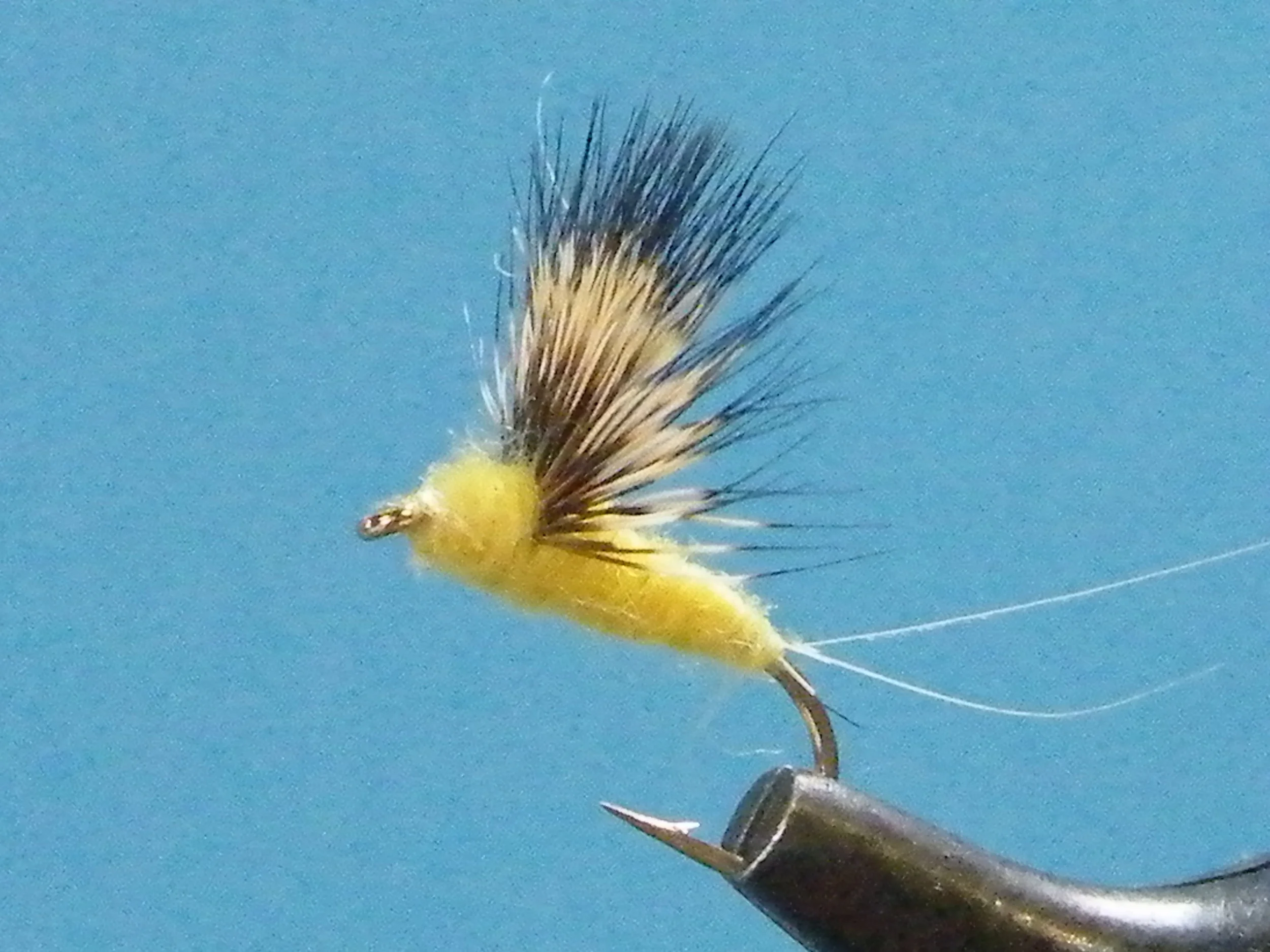 SULPHUR COMPARADUN.JPG