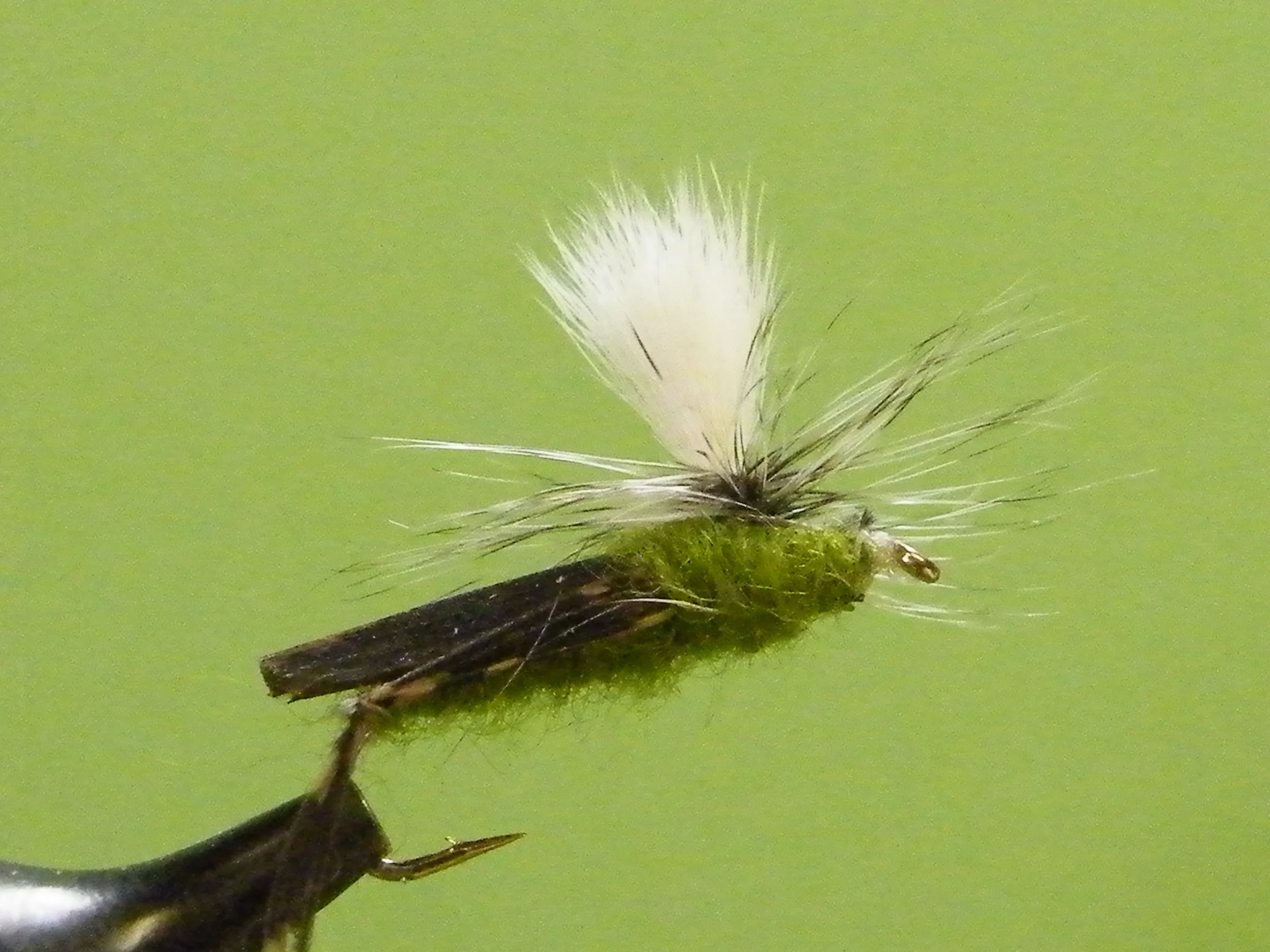 OLIVE HOPPER PARACHUTE.JPG