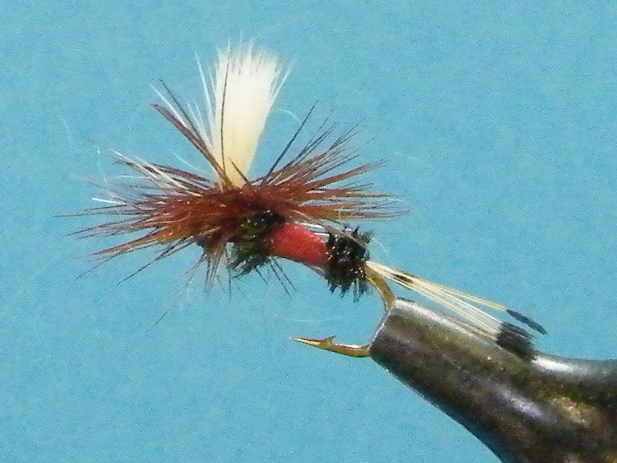 ROYAL COACHMAN PARACHUTE.JPG