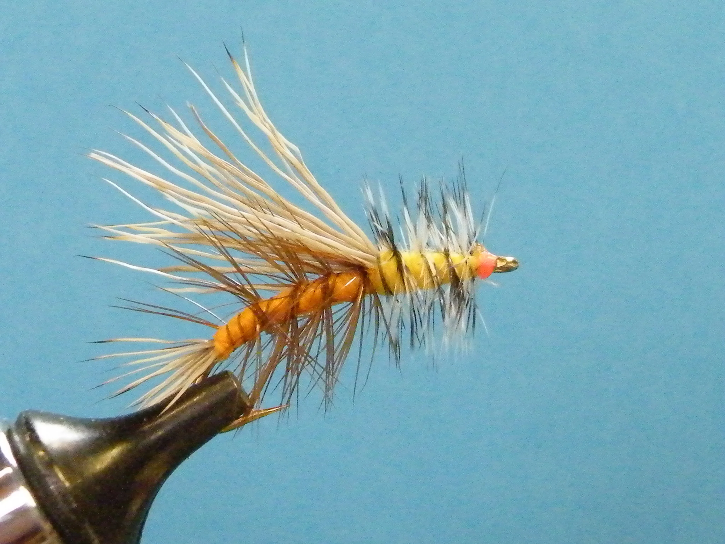 ORANGE STIMULATOR.JPG