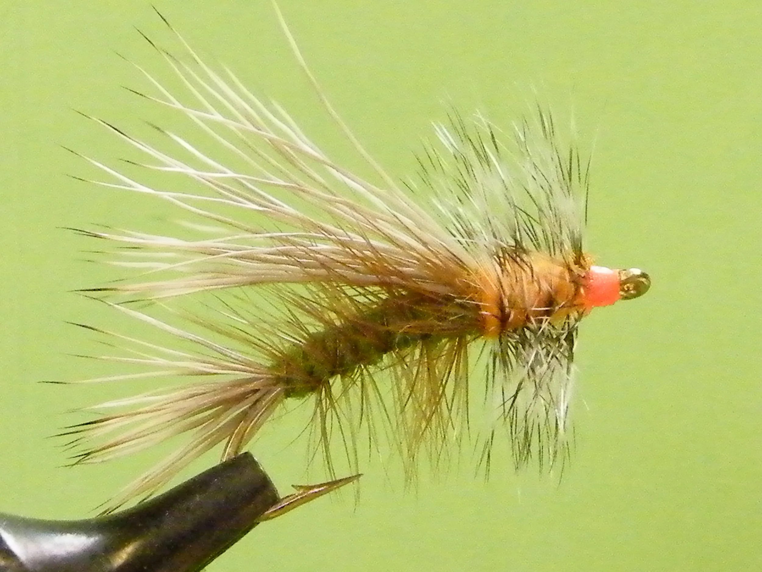 OLIVE STIMULATOR.JPG