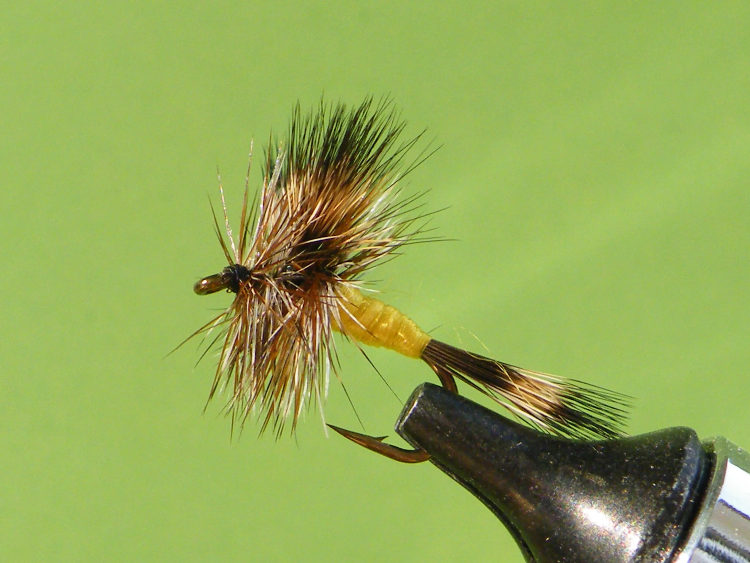 DSCF5527 Grizzly Wulff.JPG