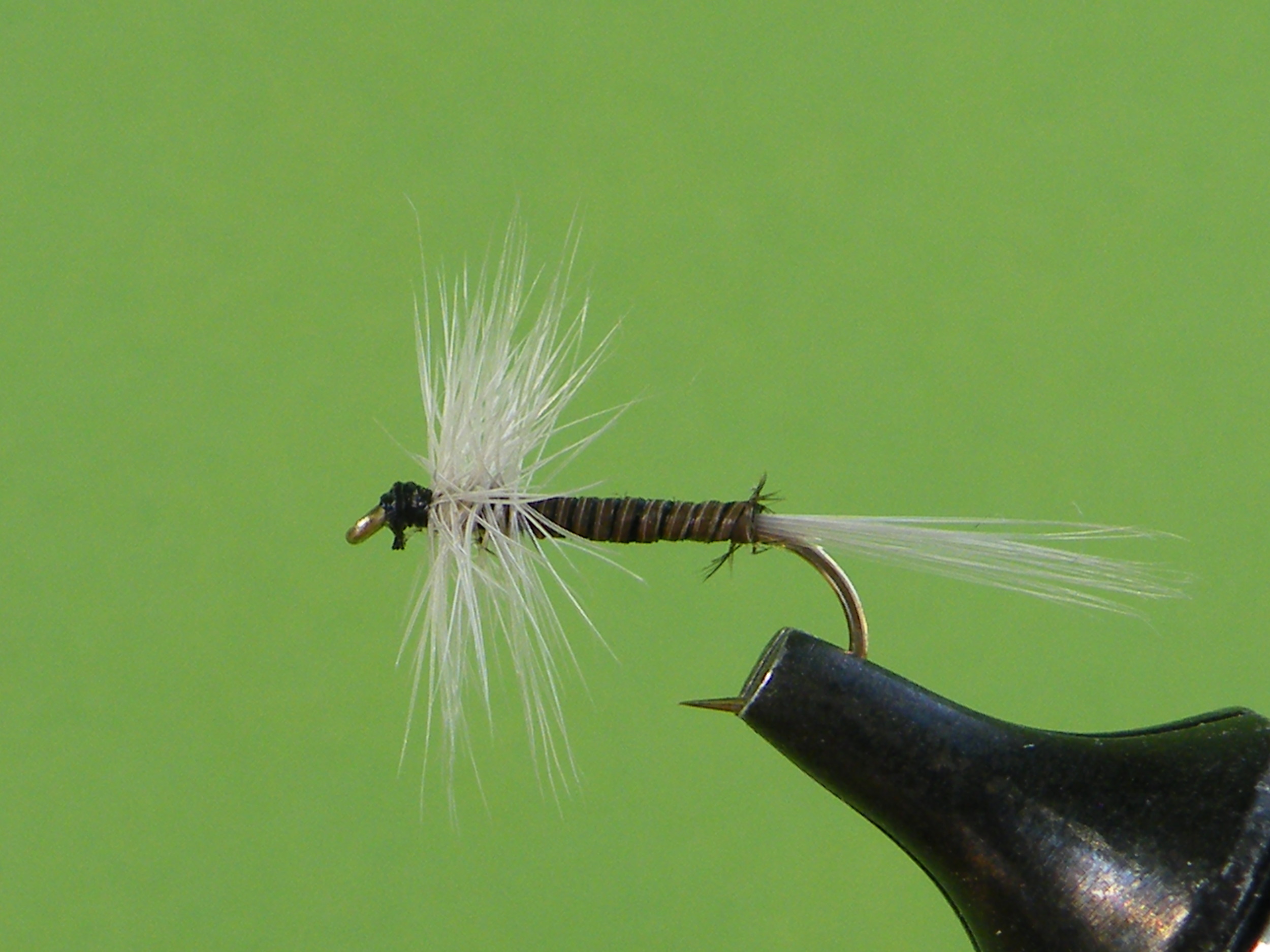 DSCF5535 Blue Upright.JPG